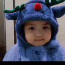 一枕青風明月的頭像