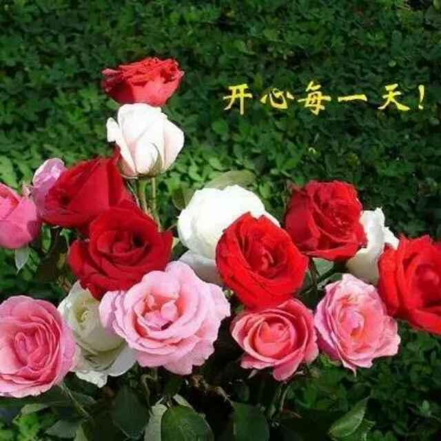 浪跡天涯的頭像