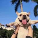 lixuantingaaa的頭像