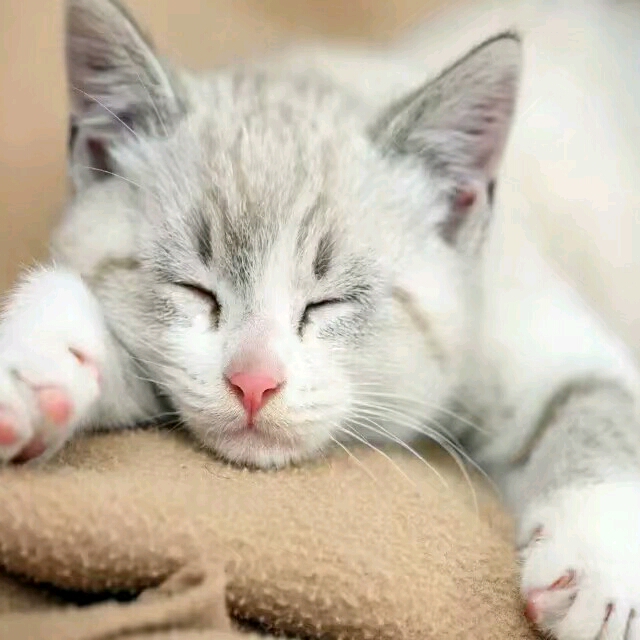 唯有愛可以治愈的頭像