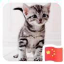 莫語(yǔ)的頭像