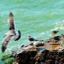 云水禪心的頭像