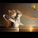 飛鳥隊長的頭像