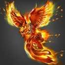 鳳凰涅槃的頭像