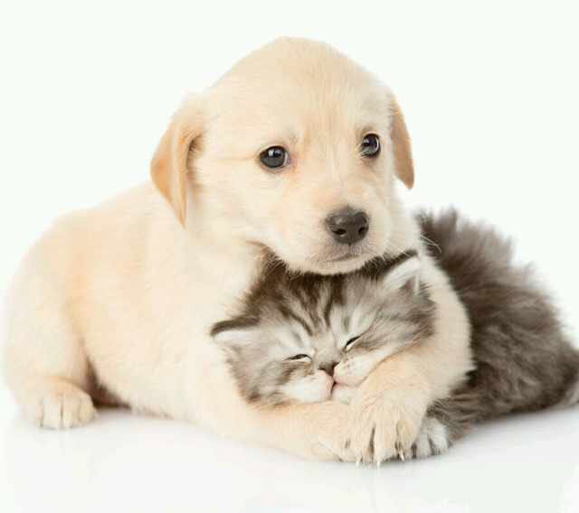 暖心一哥的頭像