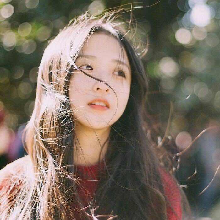 迷失的鹿的頭像