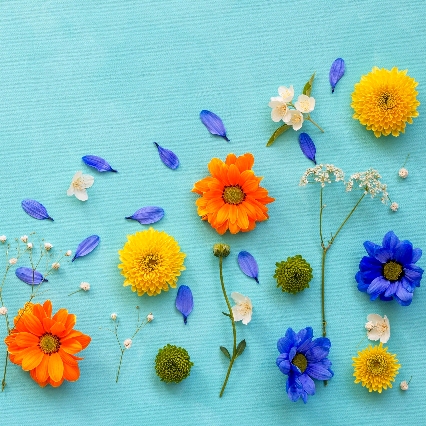 ╰＊傷ㄋの誰疼的頭像