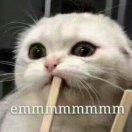 新西蘭大表兄的頭像