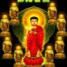 花好月圓的頭像