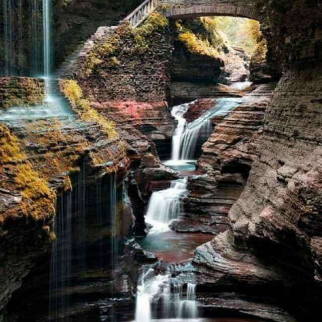 心理咨詢的頭像