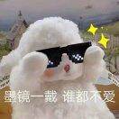 萍兒的頭像