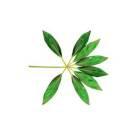 子余由沐的頭像