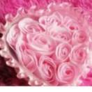 圖罕古麗的頭像