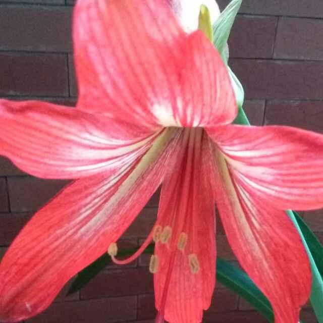 謝九香18022579788的頭像