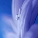 中國廚房的頭像