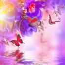 想你(劉）的頭像