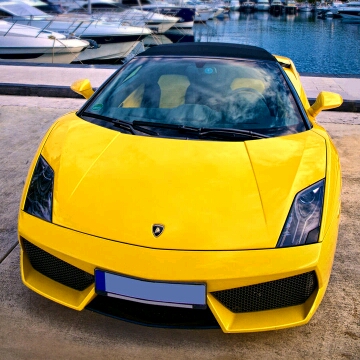 清心寡欲的頭像