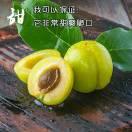 梔子花開的頭像