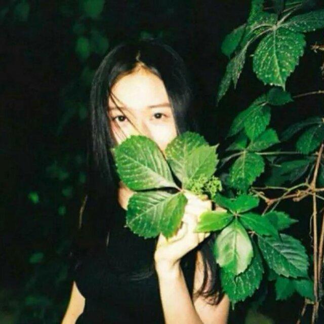 湖北	羅老師的頭像