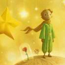 b612星狐貍花的頭像