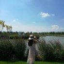 誠風(fēng)(萊柏)的頭像