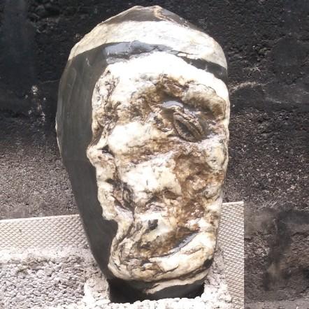 彝泊狠哥的頭像