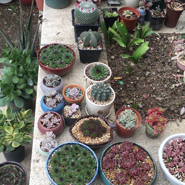 守?cái)N～兒的頭像