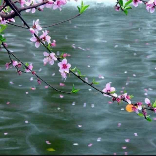 生無可戀的頭像