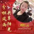 陽(yáng)光保險(xiǎn)劉紅云18045293753的頭像