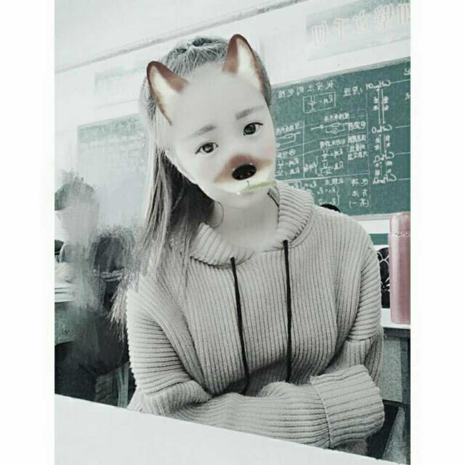 小龍貓的頭像