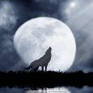 只是個名字的頭像