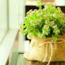 冷月寒星的頭像