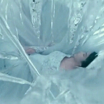 —花*絮—的頭像