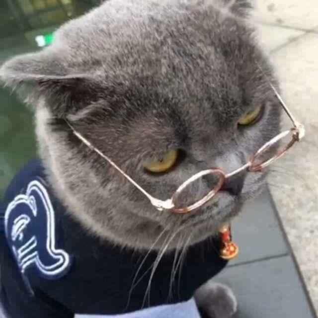 小阿敏。的頭像