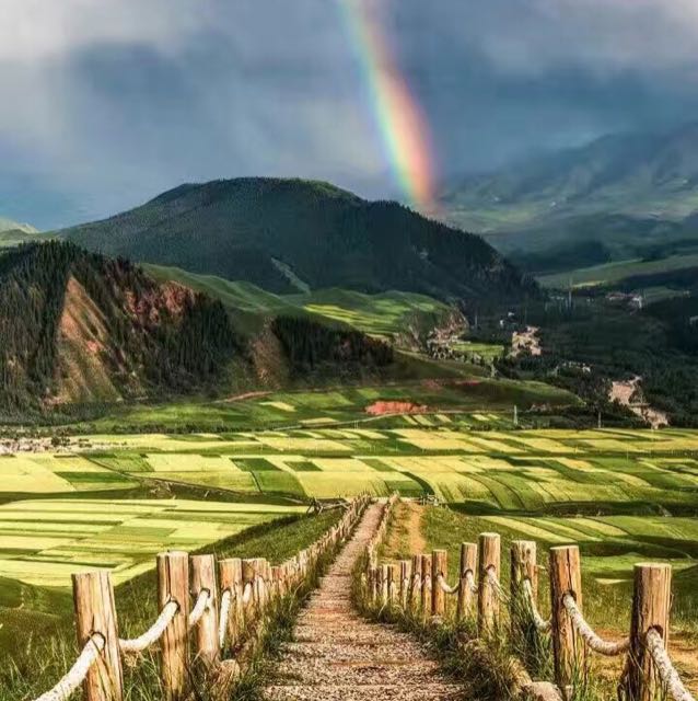 迷茫人生的頭像