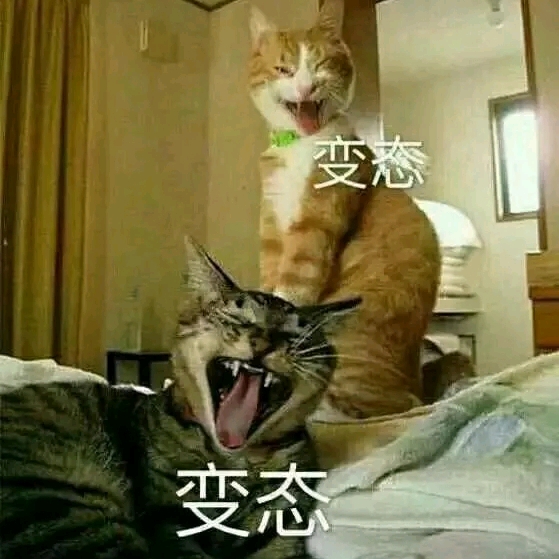 的頭像