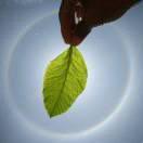 銘記于心的頭像