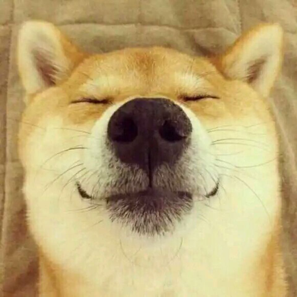 沒有故事.的頭像