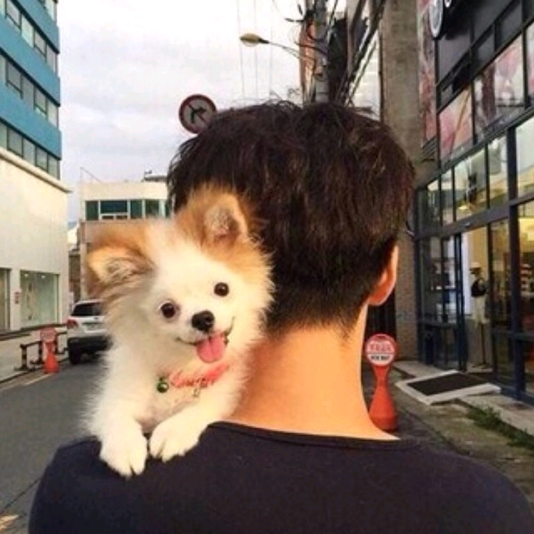 煩心娃娃的頭像