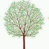 tree的頭像