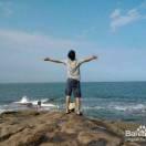 浪漫幸福的豬的頭像