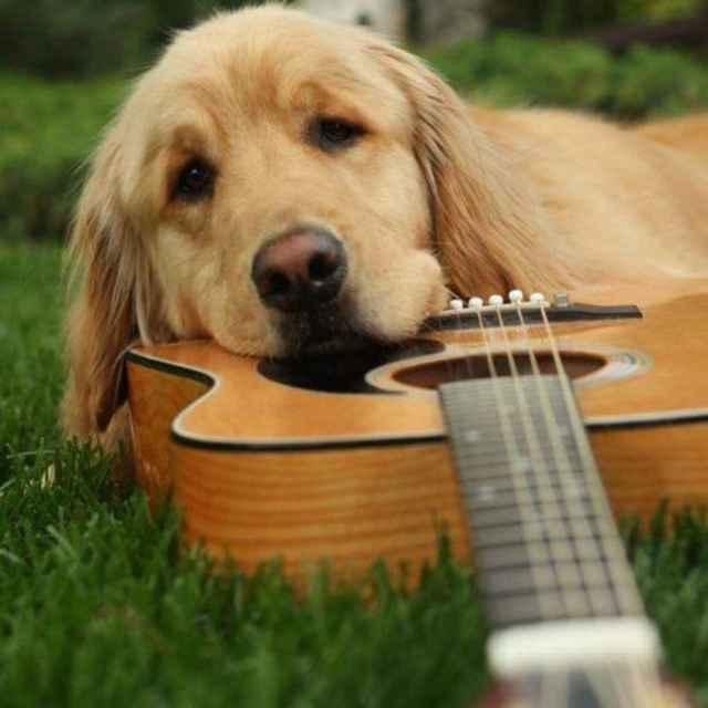 天邊那抹消逝的白的頭像