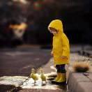 大橘為重的頭像