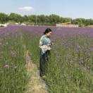 大眼偷心賊的頭像