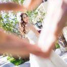 陌上花開的頭像