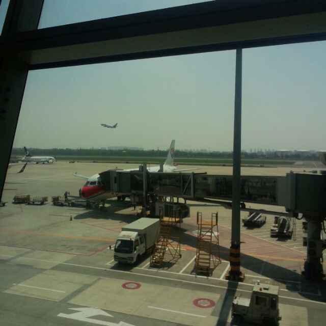 天馬行空的頭像