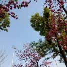 遇見更好的自己的頭像