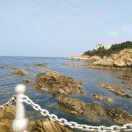 隨心隨意的頭像