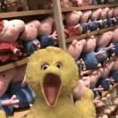 官方認證的頭像