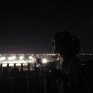 大魚吃小魚的頭像